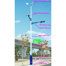 WPSRR-7704 3~15m Municipal Road Hot DIP Galvanized Steet Light Pole style